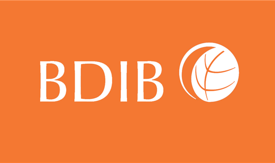 BDIB Background